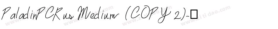 PaladinPCRus Medium (COPY 2)字体转换